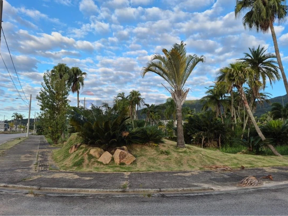 Casa Nova 3 Dormitórios à Venda em Ingleses, Florianópolis