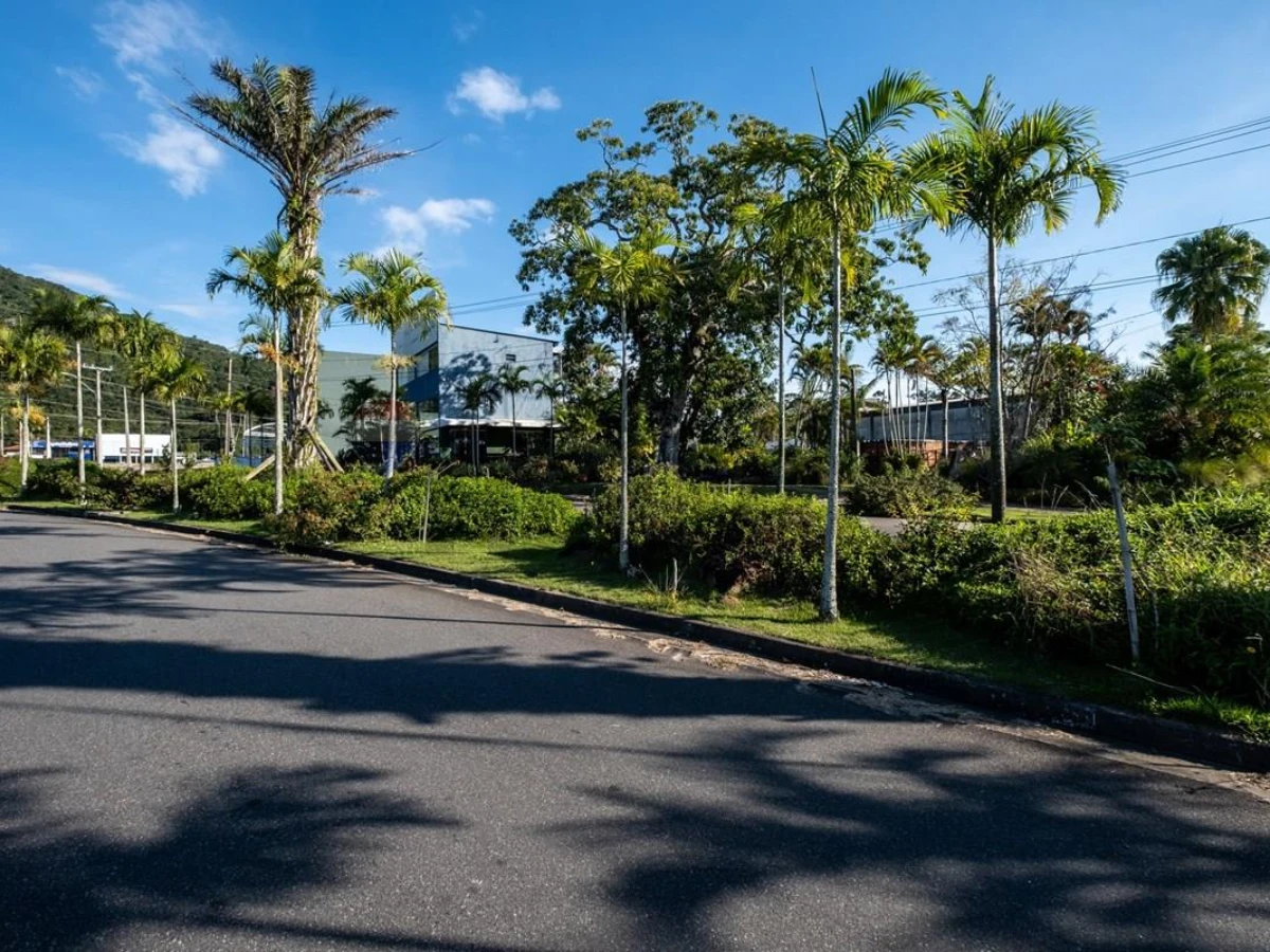 Terreno 450 m² à Venda — Vargem do Bom Jesus, Florianópolis