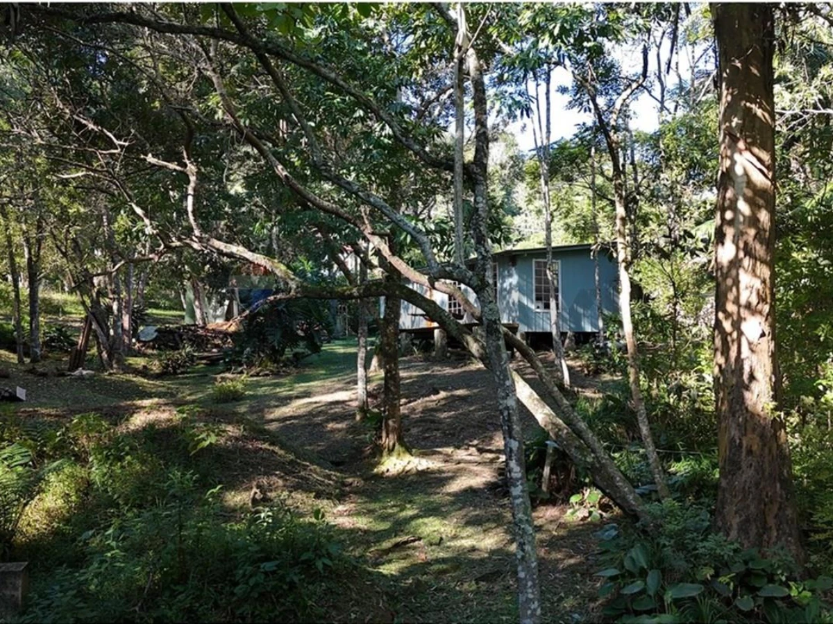 Участок 38 000 м² на продажу — Itacorubi, Florianópolis